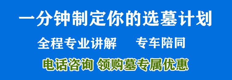 購墓指導(dǎo)、方案策劃