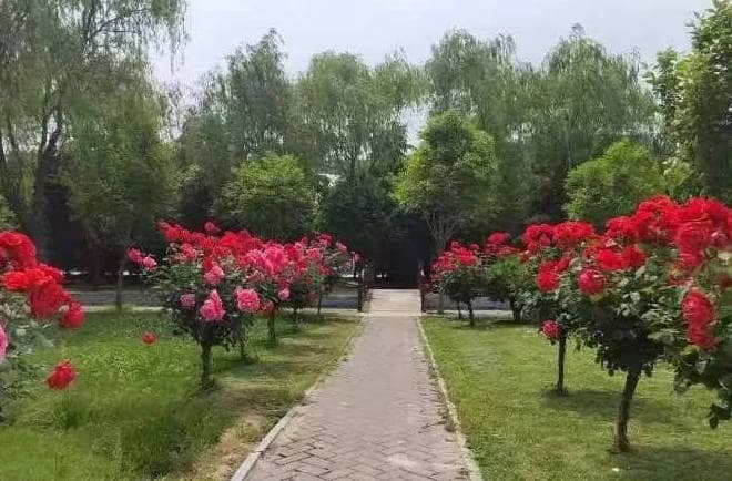 西安奉正塬公墓的具體位置在哪里，如何方便地找到它？