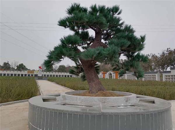墓位價格是否會受到墓園整體規劃和設計的影響？