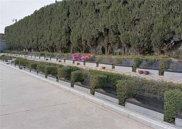 西安市樹葬墓園的費(fèi)用大概是多少？