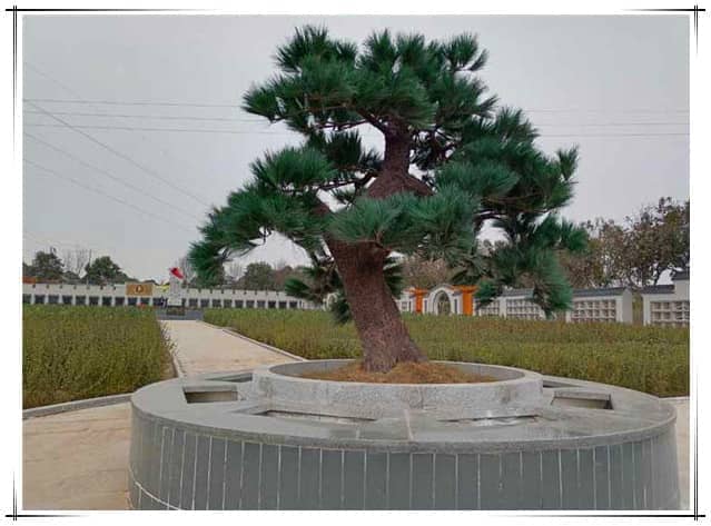 西安漢皇樹葬墓園的具體位置在哪里，其周邊環境如何？
