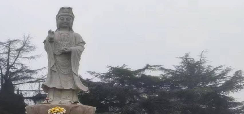 鳳棲山南區墓園，墓園價格優惠快來選！