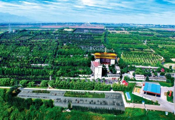 西安市高橋公墓和鳳棲山公墓區(qū)別？