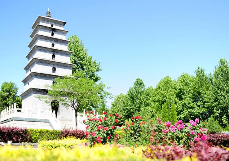 鳳棲山墓園墓地價位