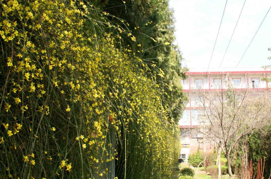 西安壽陽山墓園和鳳棲山人文紀(jì)念園的優(yōu)缺點(diǎn)是什么