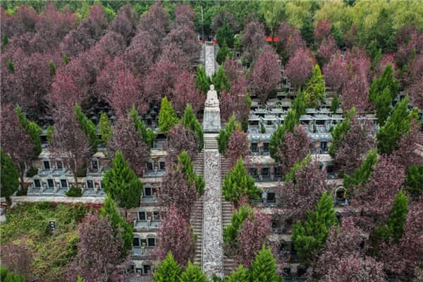 壽陽山墓園如何確保家屬能夠方便地參觀和考察，以及墓園的經營性質和服務質量如何？