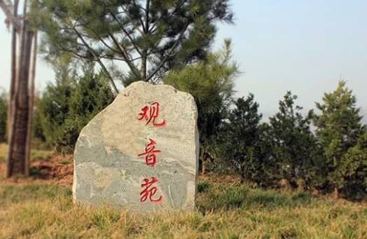 前往西安壽陽山公墓，乘客應該如何選擇合適的公交線路，以確保出行的便捷和高效？
