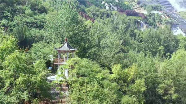 在西安公墓購買墓地的一般流程是什么？在選購過程中需要注意哪些事項？