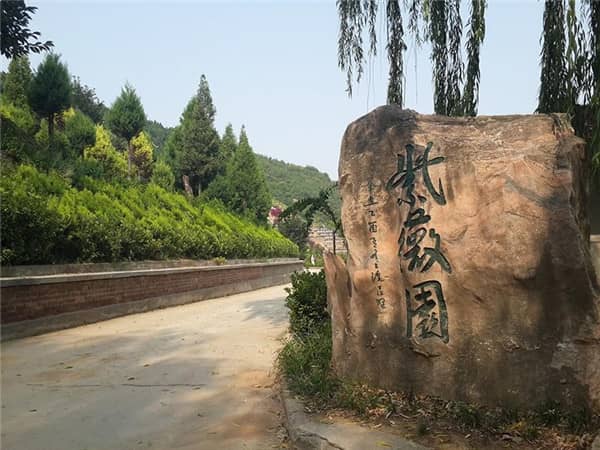 西安壽陽山墓園所在的砲里塬地區有哪些特色或文化背景？