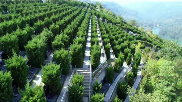 西安壽陽山墓園的花壇葬區有何特色，給訪客帶來了哪些視覺和心靈上的享受？