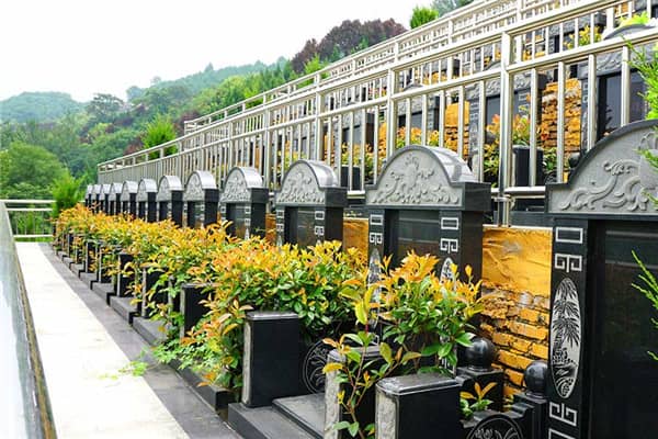 在壽陽山墓園，如果墓穴周圍的綠化出現了病蟲或枯死等問題，應該如何處理？