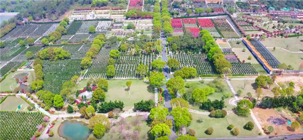 西安壽陽山墓園的自然景觀有哪些獨特之處，如何影響人們的感受？