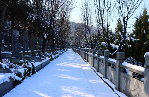 西安壽陽山墓園的價(jià)格如何