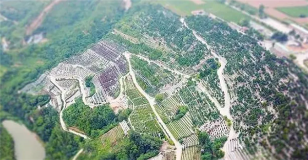 壽陽(yáng)山墓園如何提供便捷的園區(qū)參觀服務(wù)？