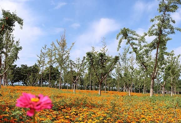 如何方便地前往西安壽陽(yáng)山墓園?
