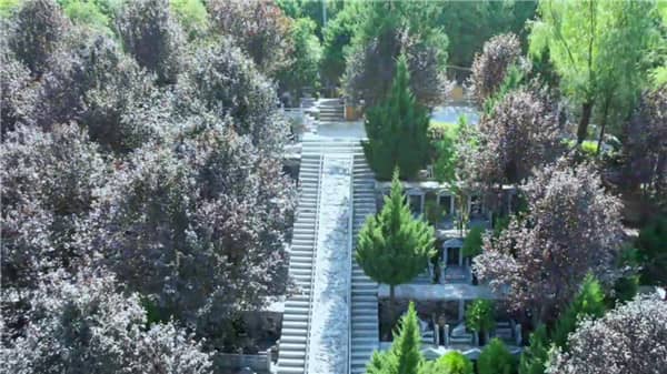 在特定的節日里，西安壽陽山墓園是否提供額外的交通服務？