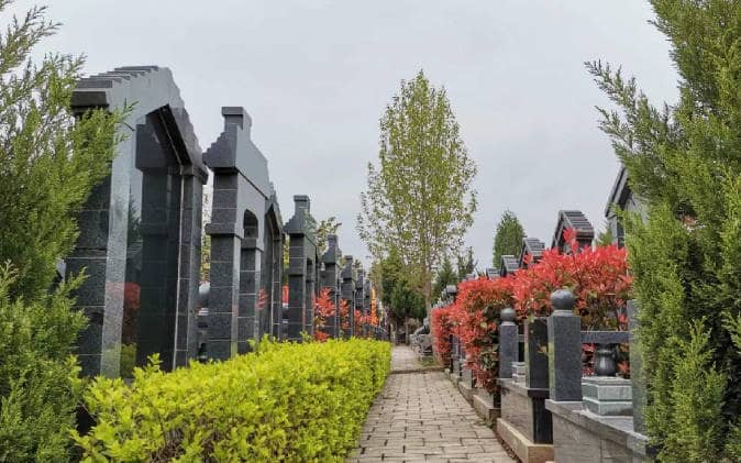 西安市棗園山墓園的環(huán)境特點是什么？其地理位置有何優(yōu)勢？