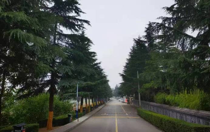 西安棗園山生態陵園在寒衣節期間有哪些措施來確保祭掃活動的安全與秩序？