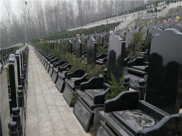 生態(tài)葬如何體現(xiàn)了對環(huán)境保護的貢獻？