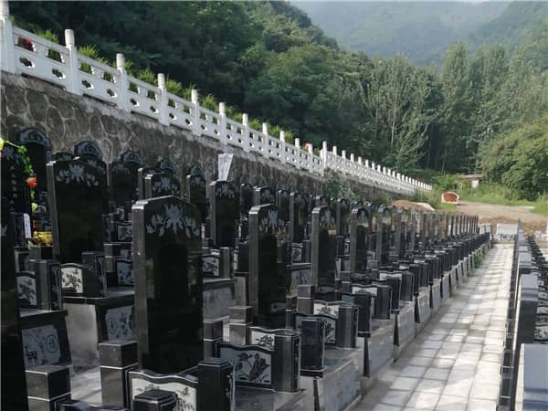 西安九龍山公墓的地理位置及其周邊環境有何特色？