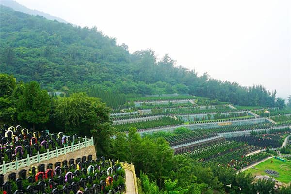 西安市戶縣九龍山墓園預約，安心便捷