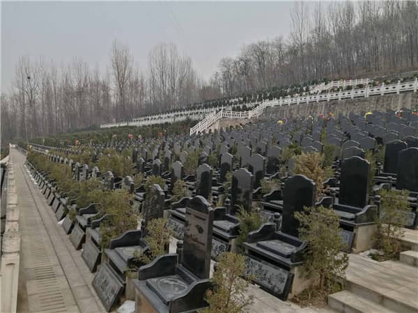 西安九龍山墓園的朝向設計有何特別之處，如何體現對逝者的尊重？