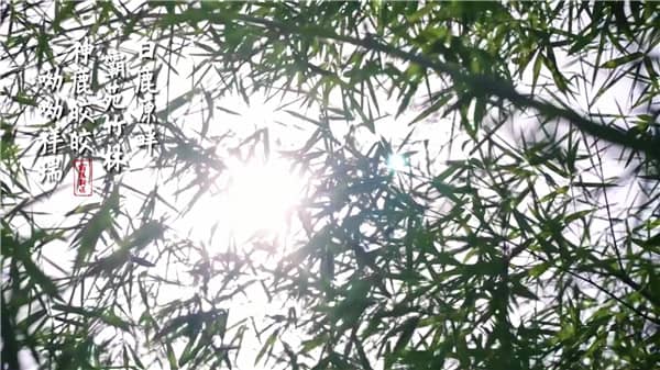 西安霸陵墓園位于西安市的哪個區(qū)域,其周邊環(huán)境如何?