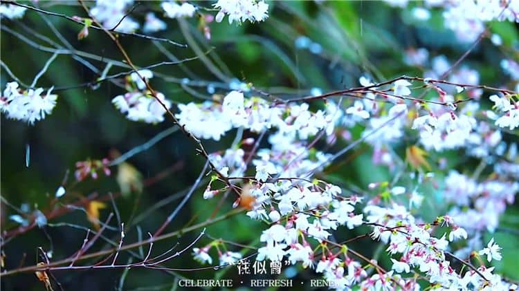 霸陵墓園新區(qū)有哪些特色?