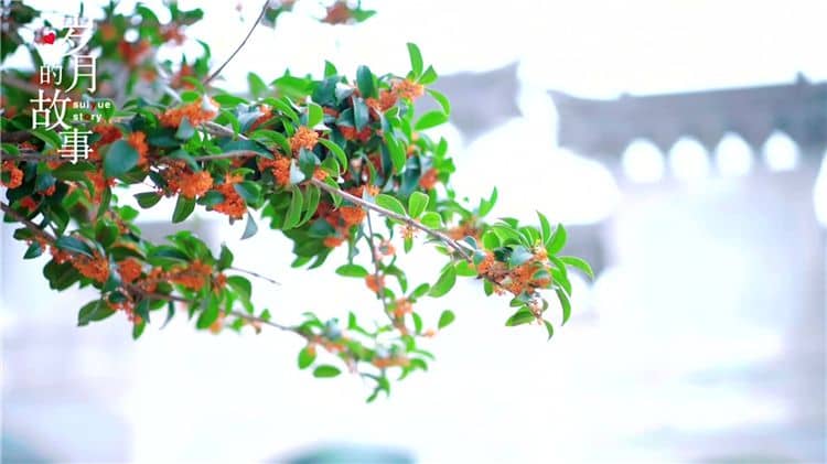 西安霸陵陵園的環(huán)境如何，對逝者和家屬有何特殊意義？