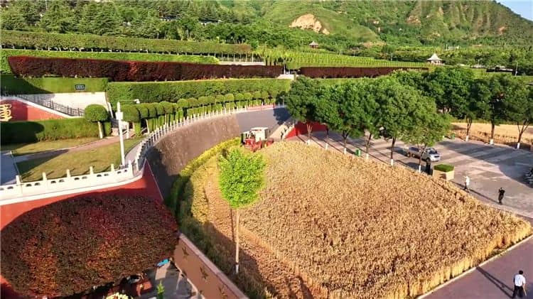 西安霸陵墓園地形特點(diǎn)概括,墓地大比拼