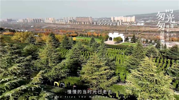 西安霸陵墓園樹葬，悼念逝去的親人