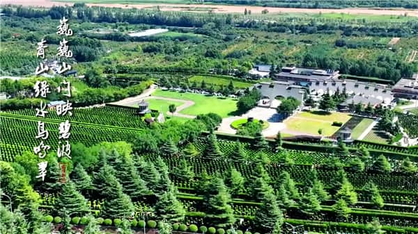 西安霸陵墓園新區(qū)有哪些在售的墓型？