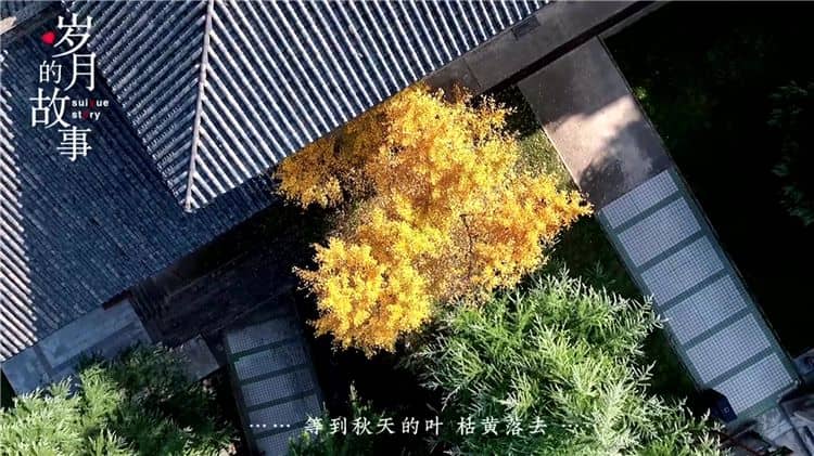 西安霸陵墓園的環境與服務？