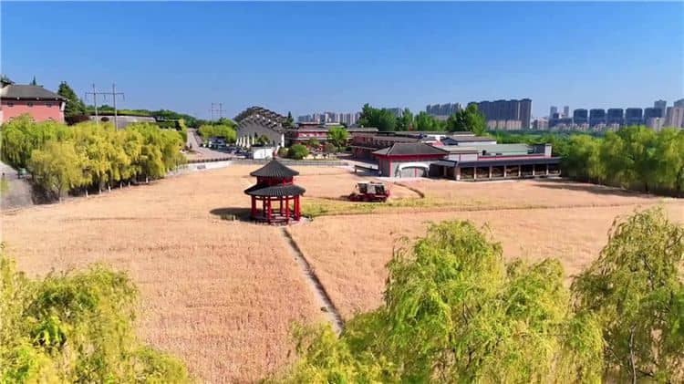 西安霸陵墓園新區(qū)地址位置、交通路線、免費(fèi)班車(chē)服務(wù)、安葬方式