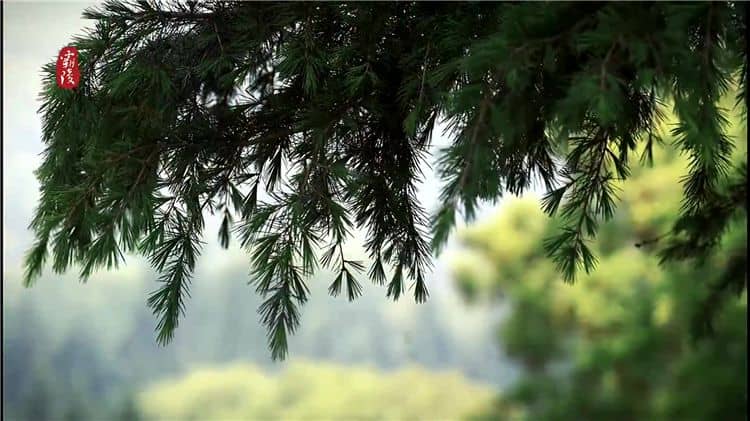 針對清明節掃墓高峰時段，西安霸陵墓園有哪些具體措施來應對交通壓力？