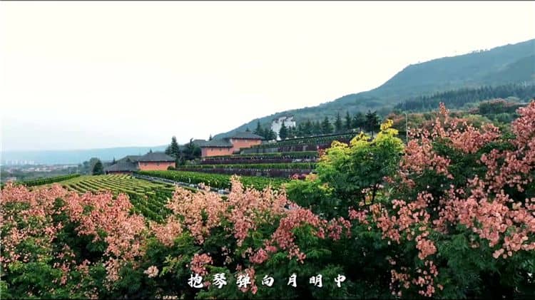 關(guān)于環(huán)保性,霸陵墓園如何做到減少對環(huán)境的影響?