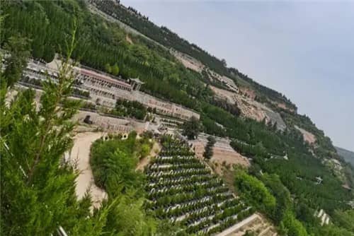 西安高橋墓園的自然環境有何特色？