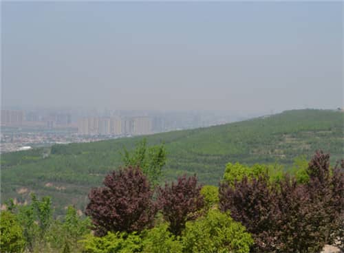 如何便捷地前往灞橋高橋墓園？