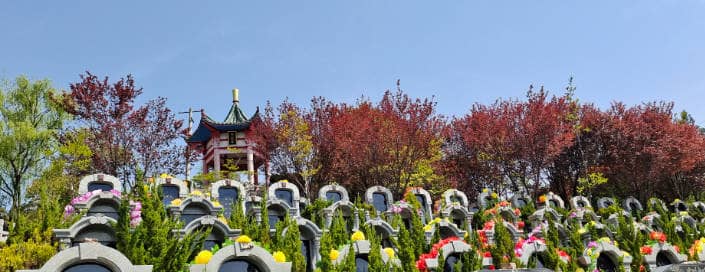 西安東郊白鹿原墓地，西安東郊白鹿原墓地的詳細介紹