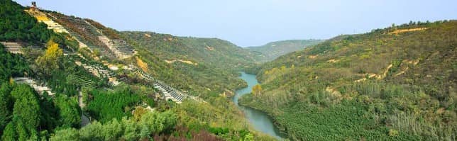 中元節期間墓園防火措施有哪些（如滅火器配置、巡邏頻率）？