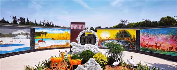 墓地自己的父母可以拍照嗎_傳統(tǒng)習俗