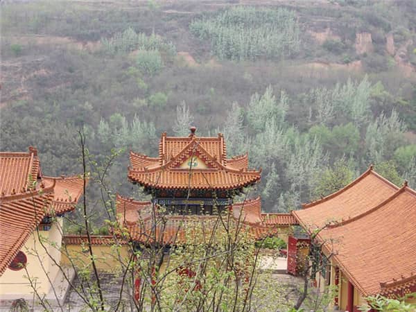 祭掃高峰管理升級：陵園多措并舉保障順暢與溫情