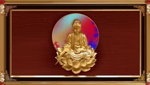 樹(shù)葬相較于傳統(tǒng)墓地有哪些優(yōu)勢(shì)？為何受到市民青睞？