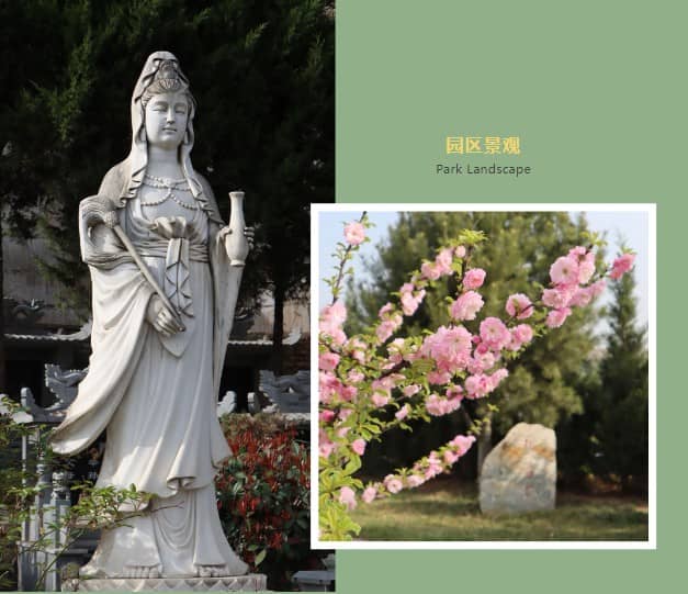 為什么墓里不能有金屬？文化與實際原因解析