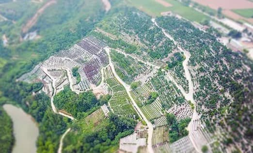外國人在中國買墓地可以嗎？政策與條件解析