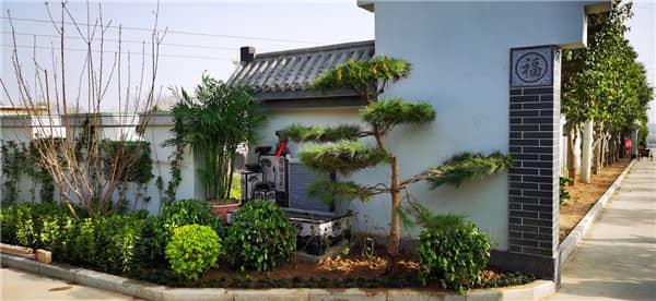 如何確認(rèn)墓地的合法性和合規(guī)性?